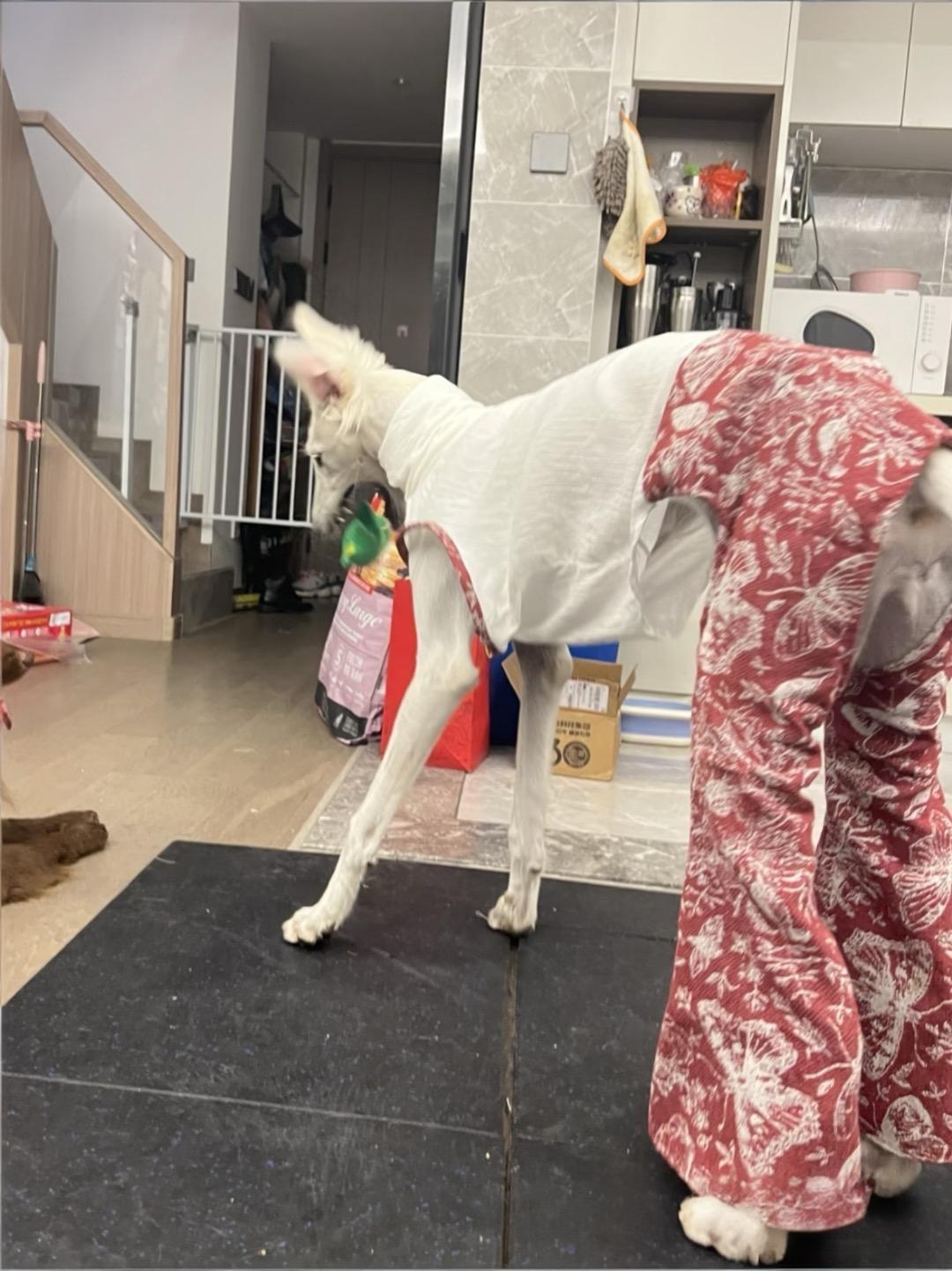 这身衣服真的是太好看了