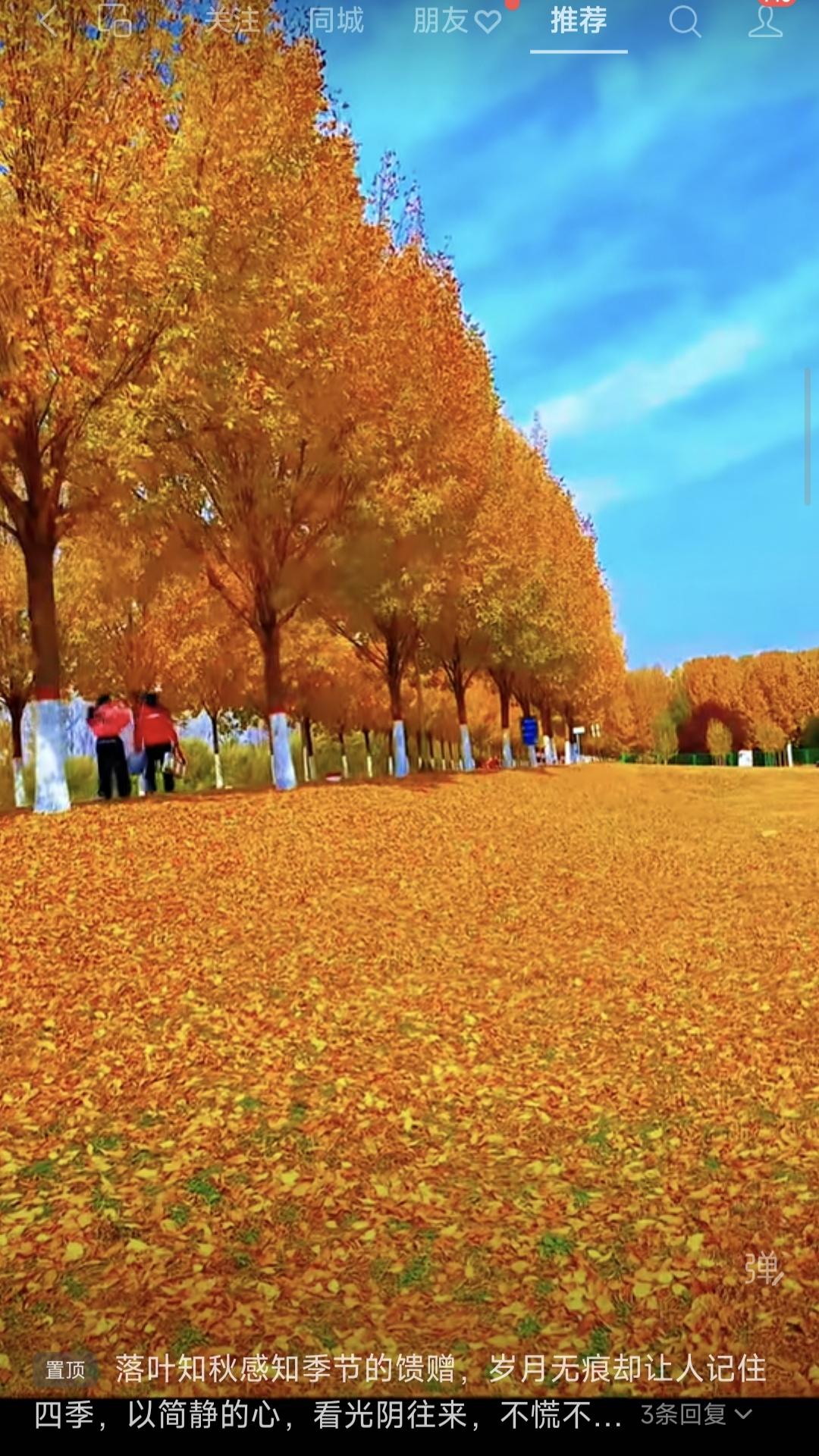 金字经·秋韵悟时
落叶知秋意，
岁流无迹痕。
却记四时景韵存。
珍，简心观月云。