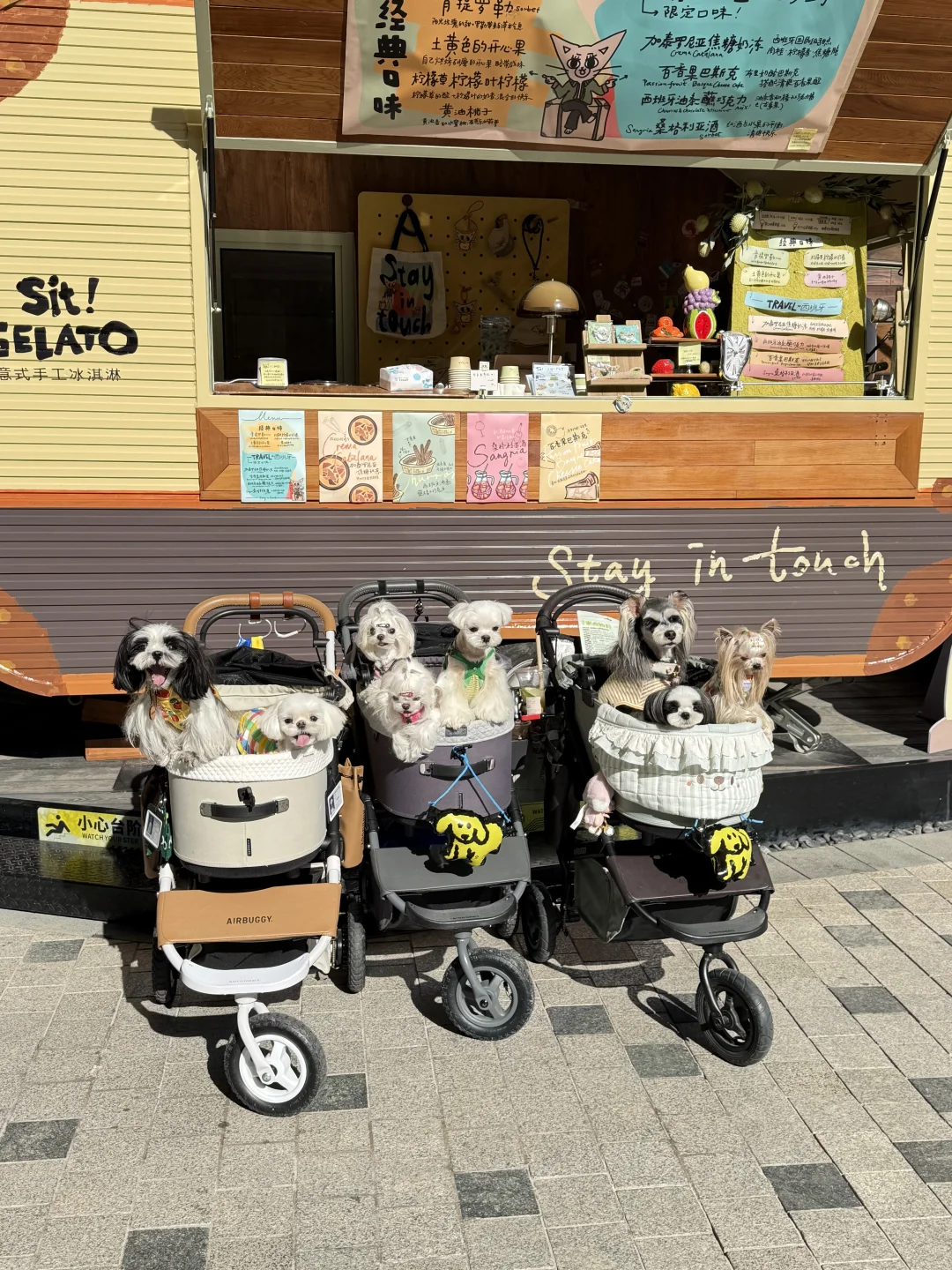 看完展，打卡冰激凌🍦店 Sit! Gelato超级宠物友好，给小狗也...