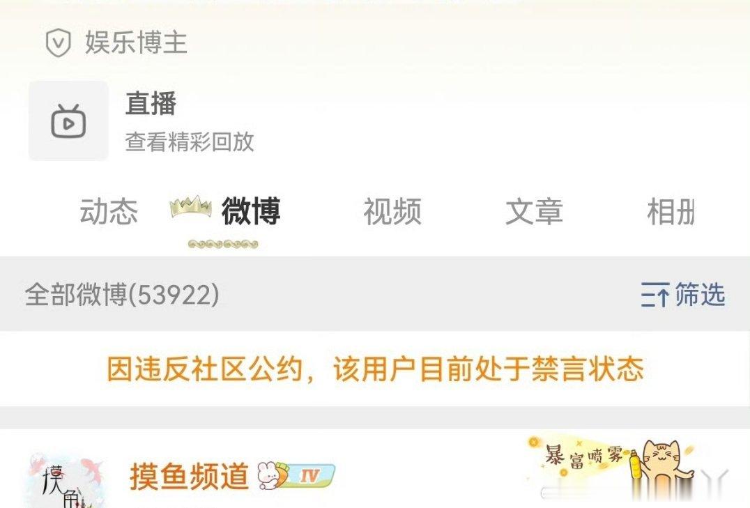 摸鱼被禁言了，下午还只是降低曝光摸鱼频道帐号被禁言