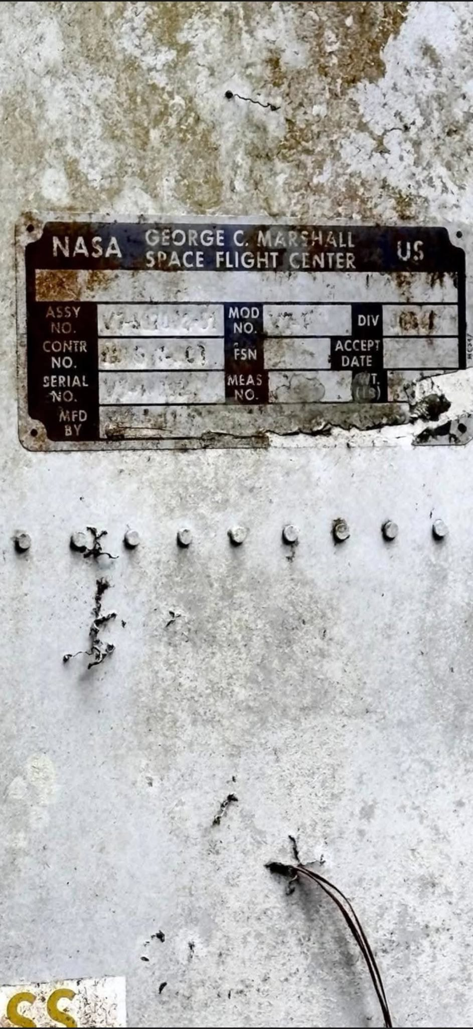 美国佛罗里达州的一位房主在清理新买的地产时，从杂草中翻出了一个巨大的金属圆环。这