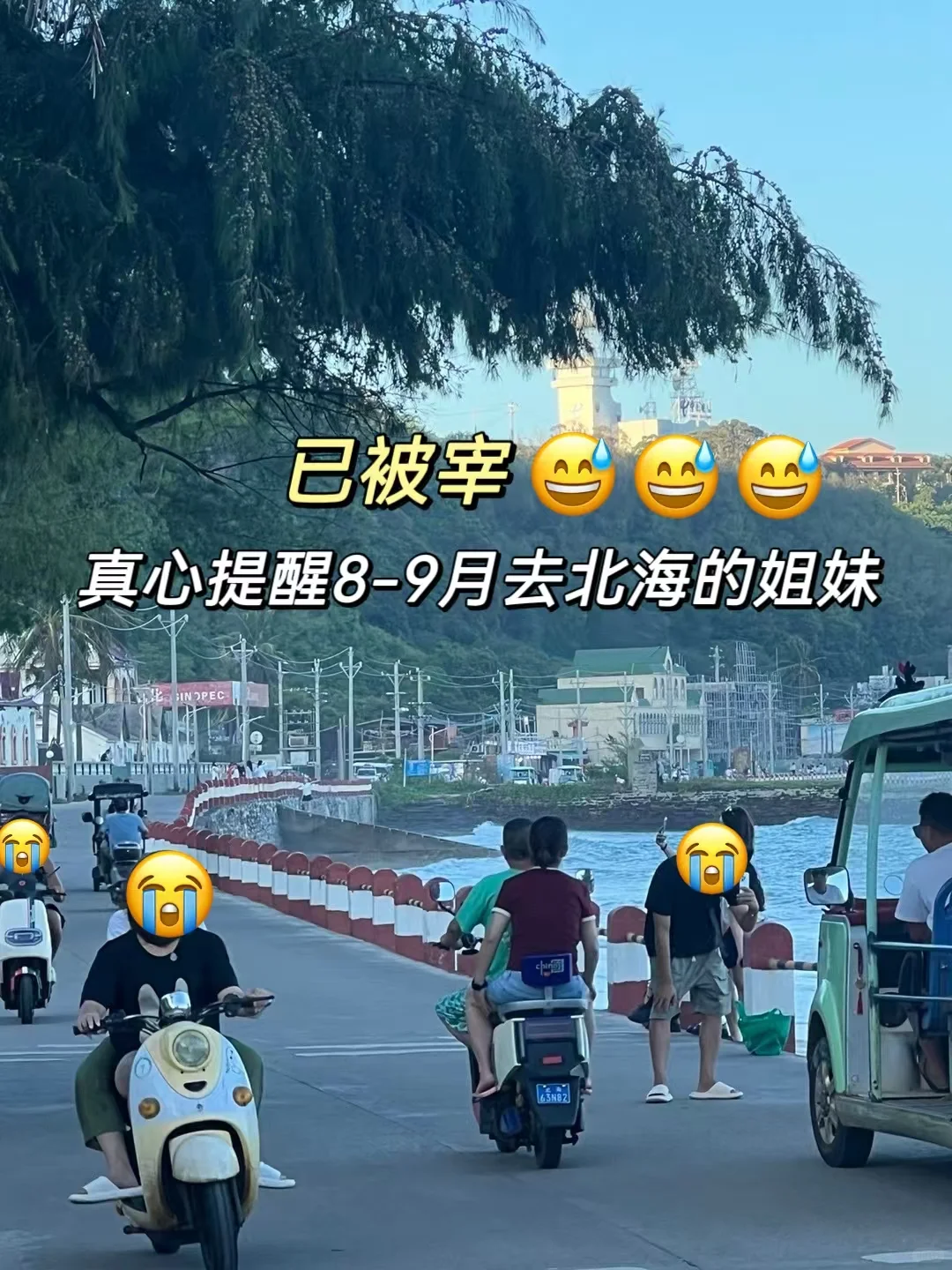 总结一下北海现状✔️刚从北海受罪回来。。
