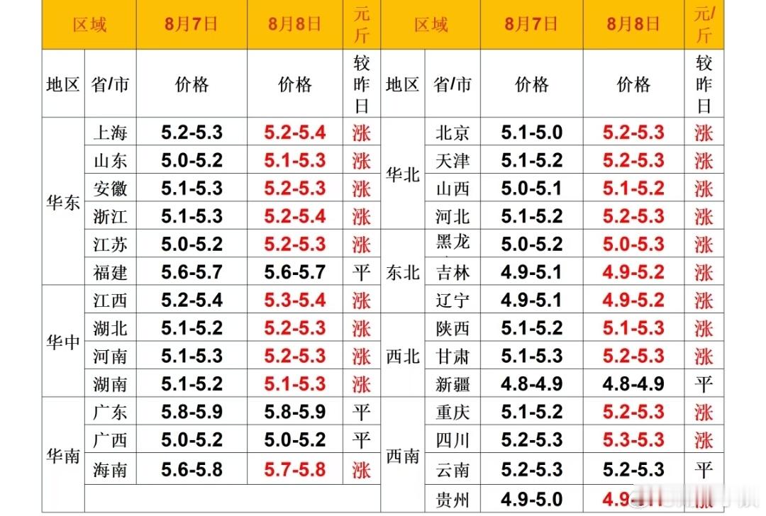 每日猪价 