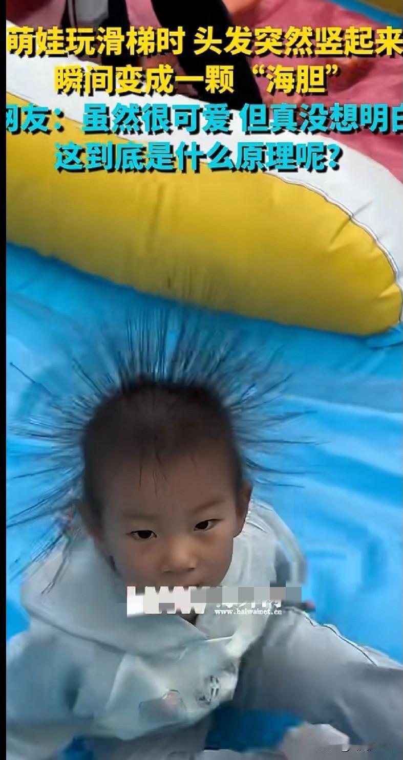“家人们快来看这个萌娃！玩滑梯的时候头发突然竖起来，秒变‘海胆宝宝’，也太可爱了