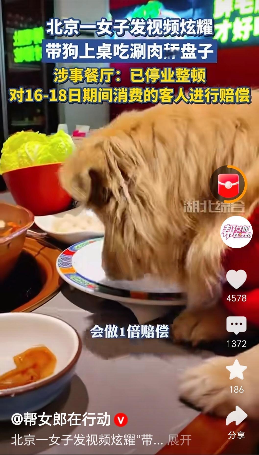看得人吃不下饭！女子带狗上桌舔火锅盘子还拍视频炫耀，网友气炸：这是人干的事？
