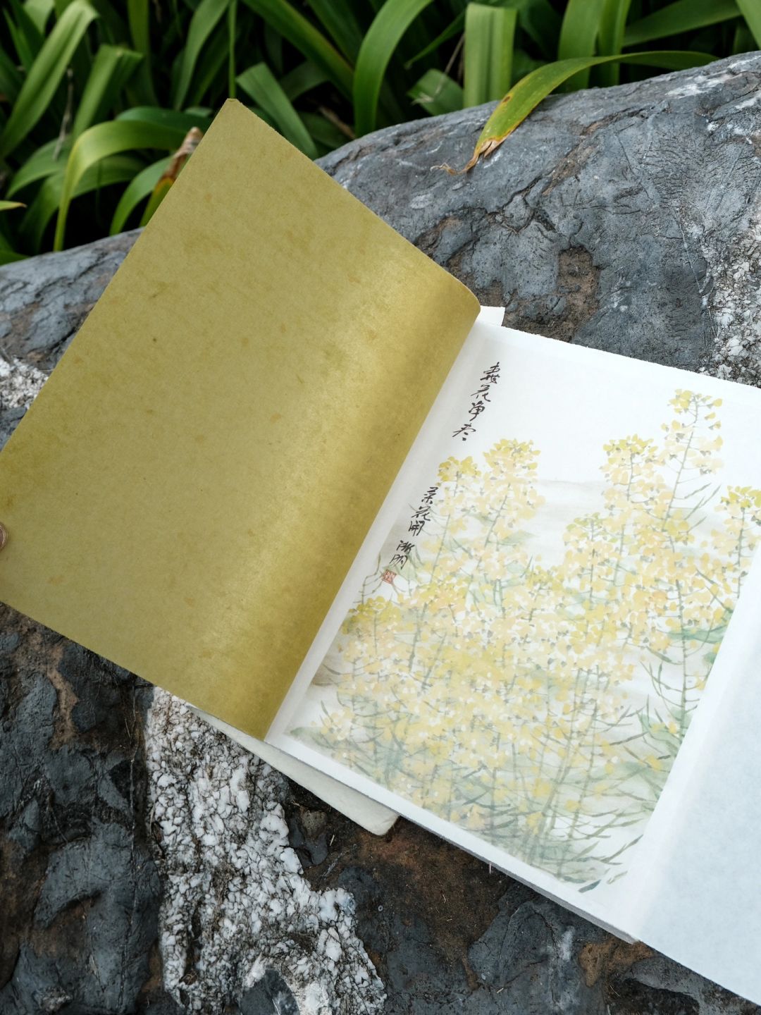 这是专属于中国纸质书的浪漫！💕