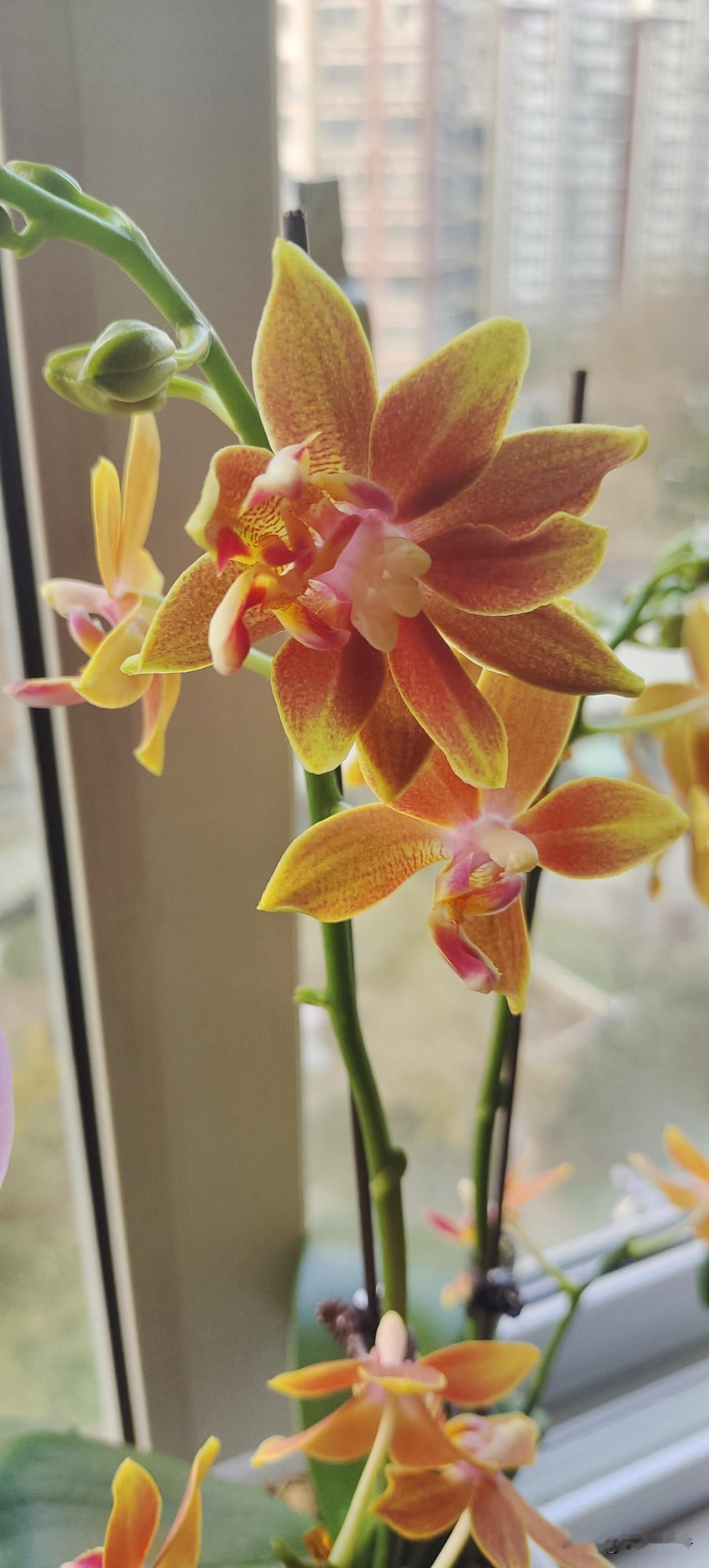 好运连连，万事皆如意！点赞有喜！