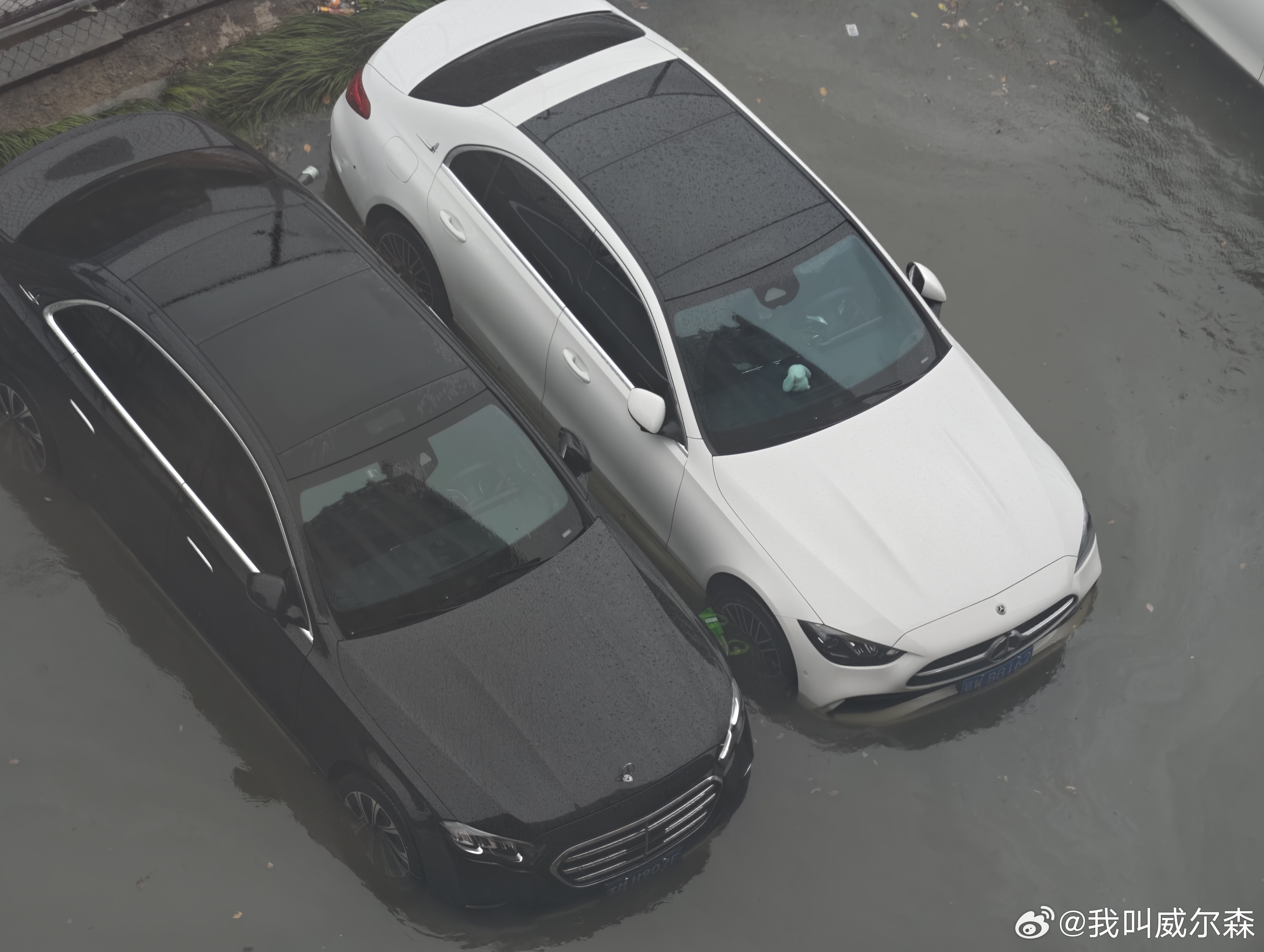 这只是台风白海豚影响的开端确实这个教搜是真的吗？