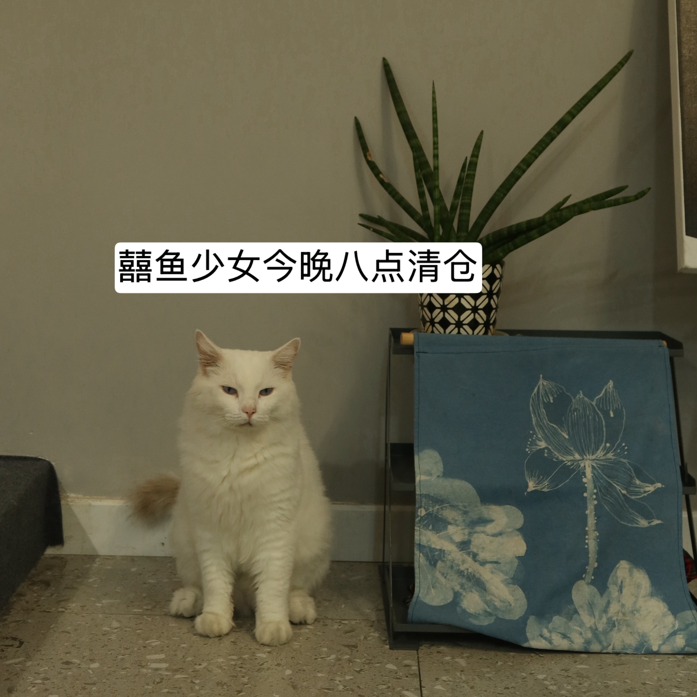 分享图片 
