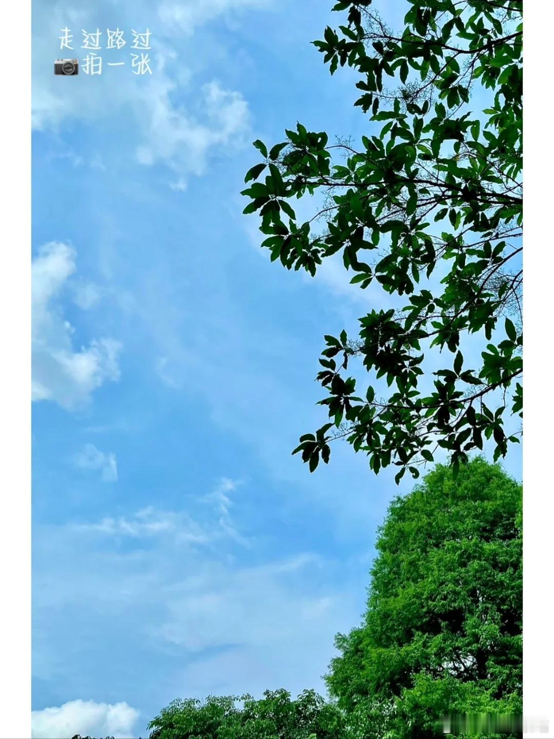 #总要在户外拍一次人生照片吧# 户外拍摄时，不妨尝试与拍摄对象互动，用镜头记录下
