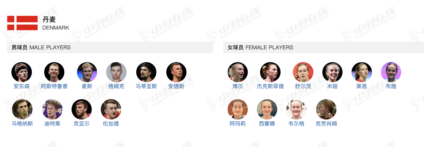 丹麦队汤尤杯名单：汤杯：安东森、格姆克、马格纳斯、迪特莱、阿斯特鲁普、麦斯、马蒂