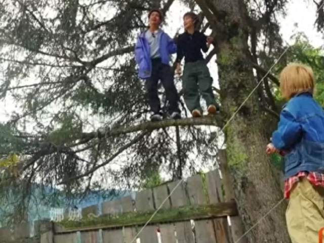 《后会友期》名场面 马天宇陪许飞上树喊话厉娜，网友看得捏一把汗