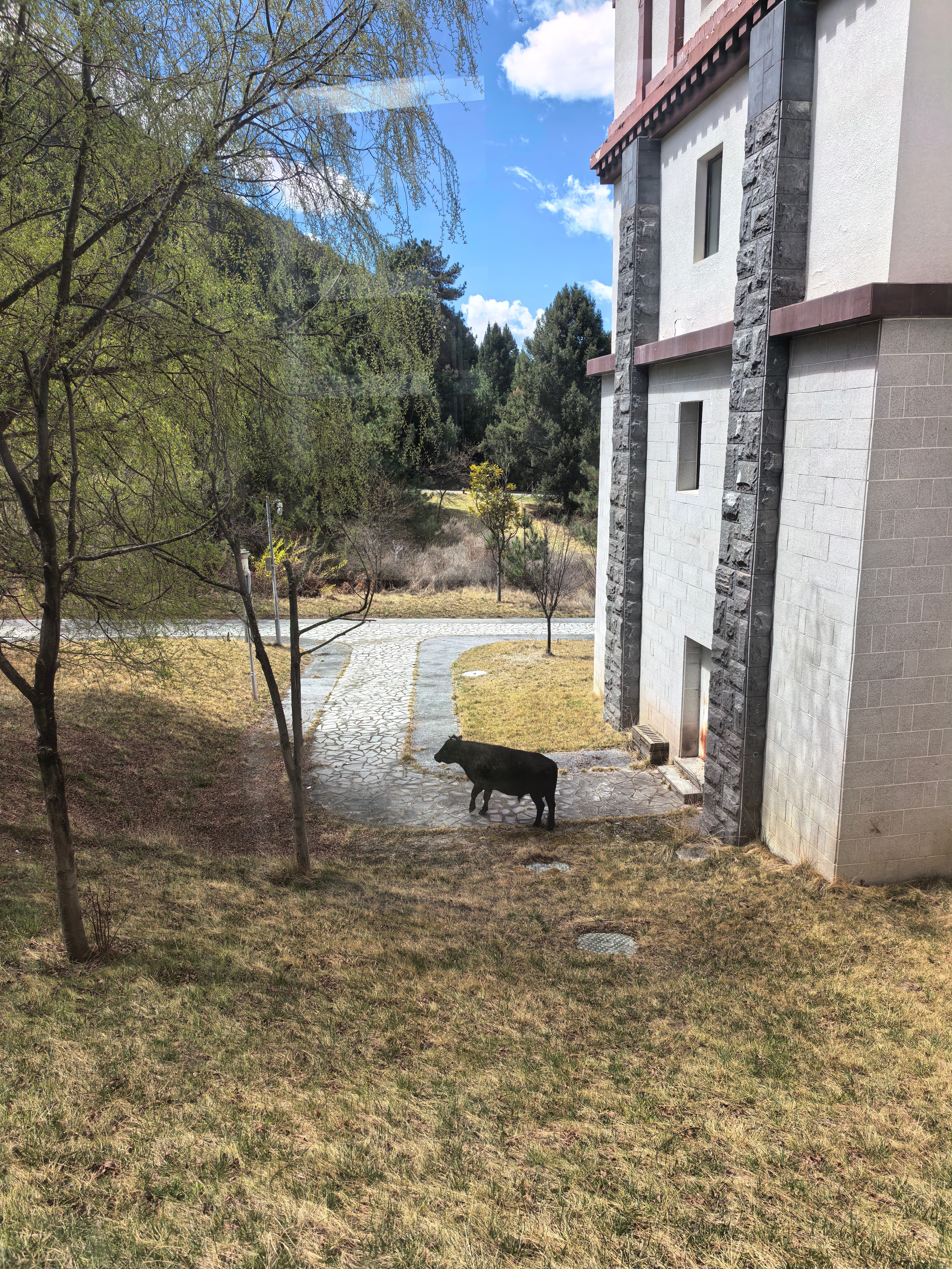 收拾收拾回家这个 3 月实在是忙飞了明天有位顶流老登去大连回去布置一下接待工作 