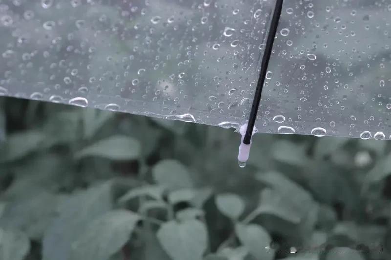 《夏雨》
云暮低垂黑色翻，
银珠乱溅润尘寰。
风携暑气匆匆去，
雨奏清歌缓缓来。