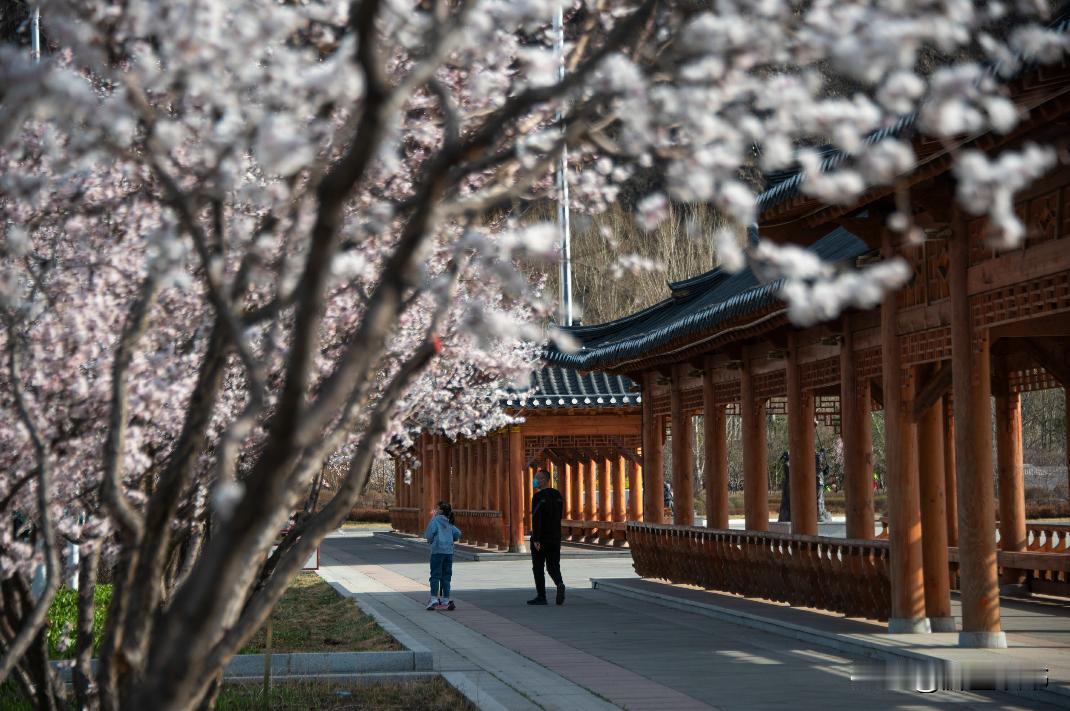 一定要格外注意那些，在你成功时不为你鼓掌的人。
 
不是说人人都得围着你夸，也不
