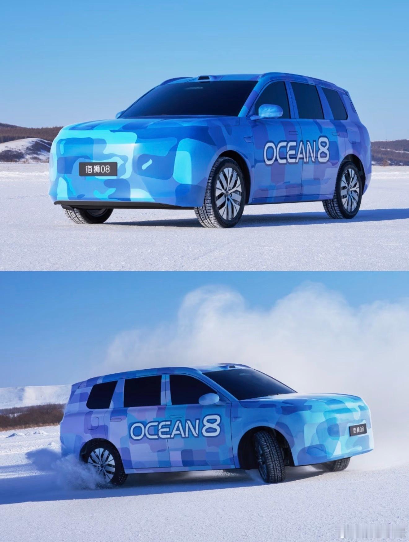 比亚迪海狮08和海豹08保持一致，海洋网旗舰产品，中大型尺寸，插混+纯电布局。这