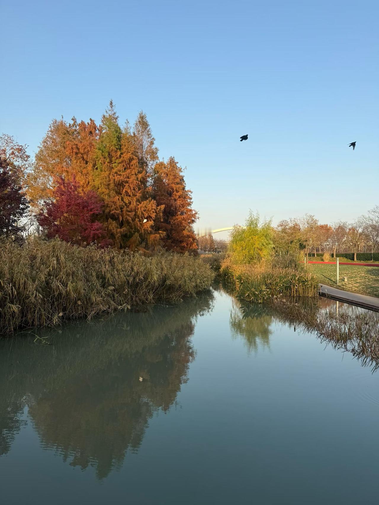 今日分享随手拍照片任何关系合得来就合，合不来就散，没什么大不了的，迁就多了，理解