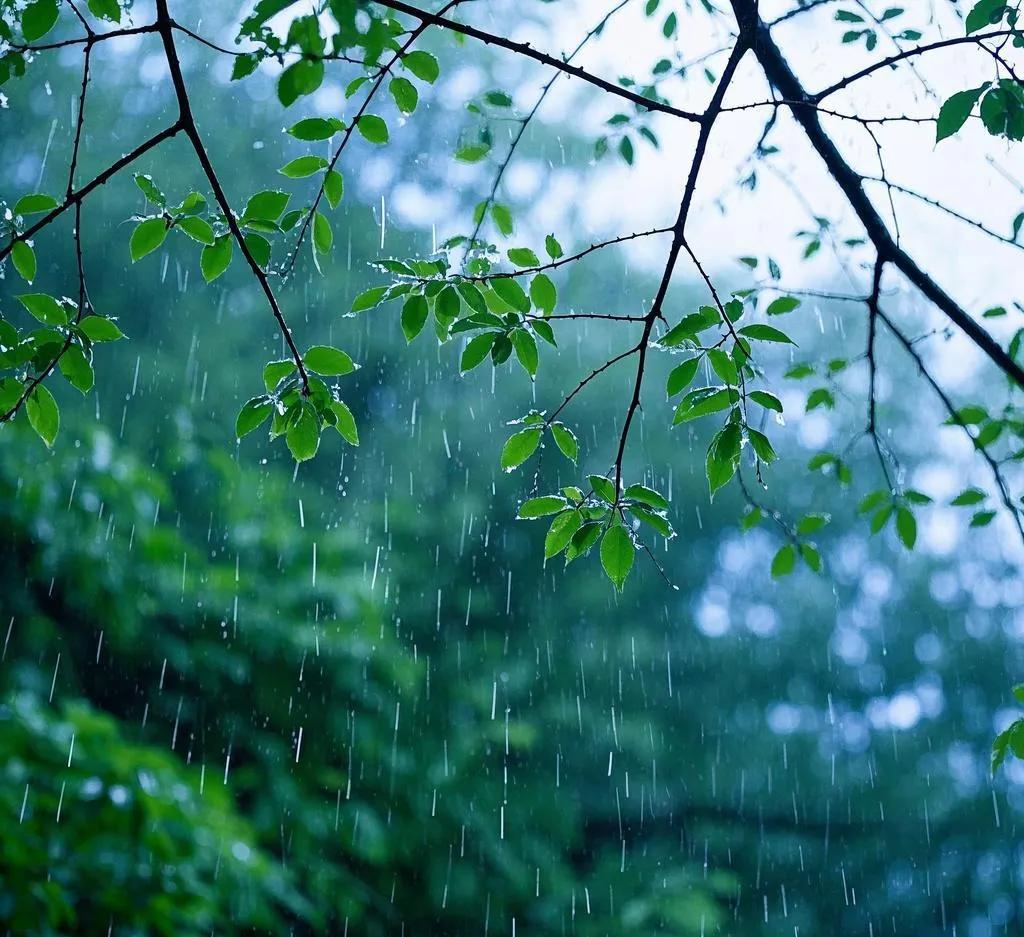 - 风吹万叶声：“风吹”对“雨下”，都是主谓结构，“万叶声”对“千条线”，“万”