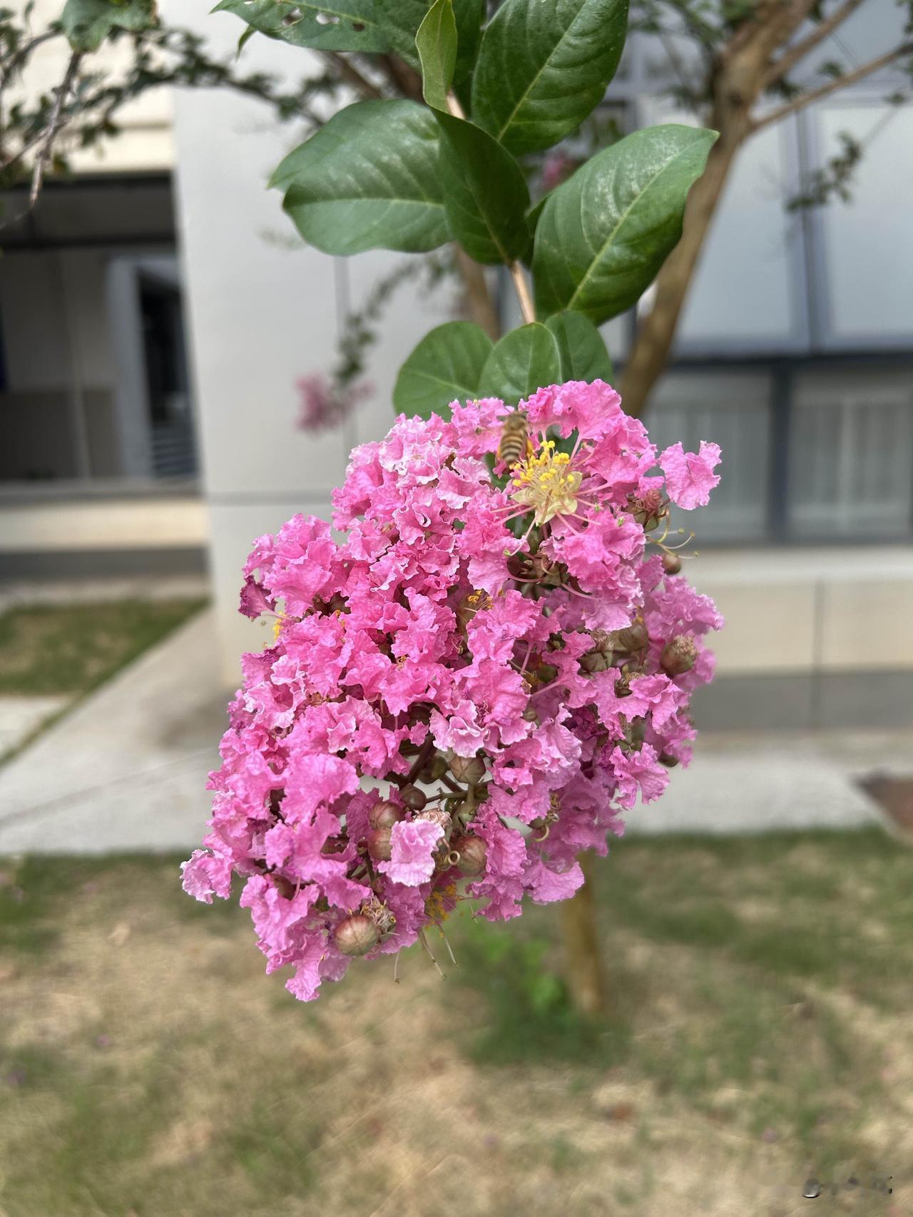 @豆包 帮我点评
