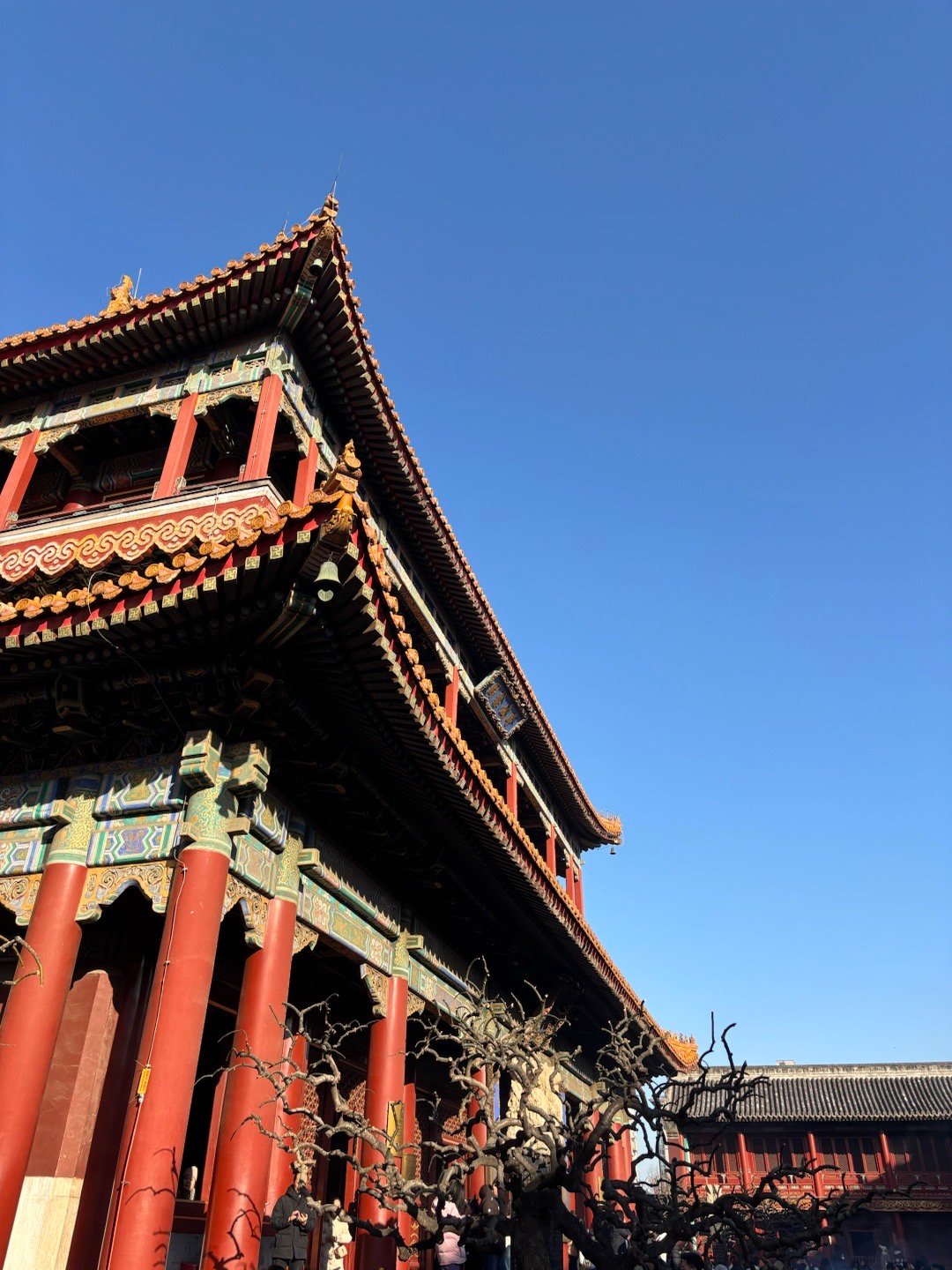 谢霆锋 推荐的方砖厂炸酱面确实不错。方砖厂69号炸酱面 北京·南锣鼓巷