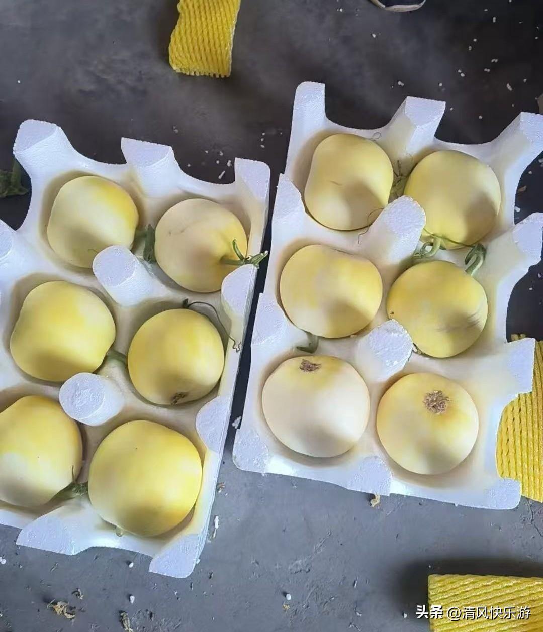 一个人在家做电商，今天小蜜罐爆单了