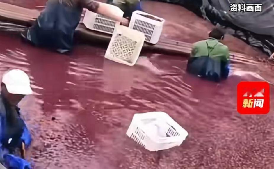 杨梅的常温保鲜期也就24小时，如果北方想吃到新鲜的杨梅，那么就得摘下后，迅速冷链