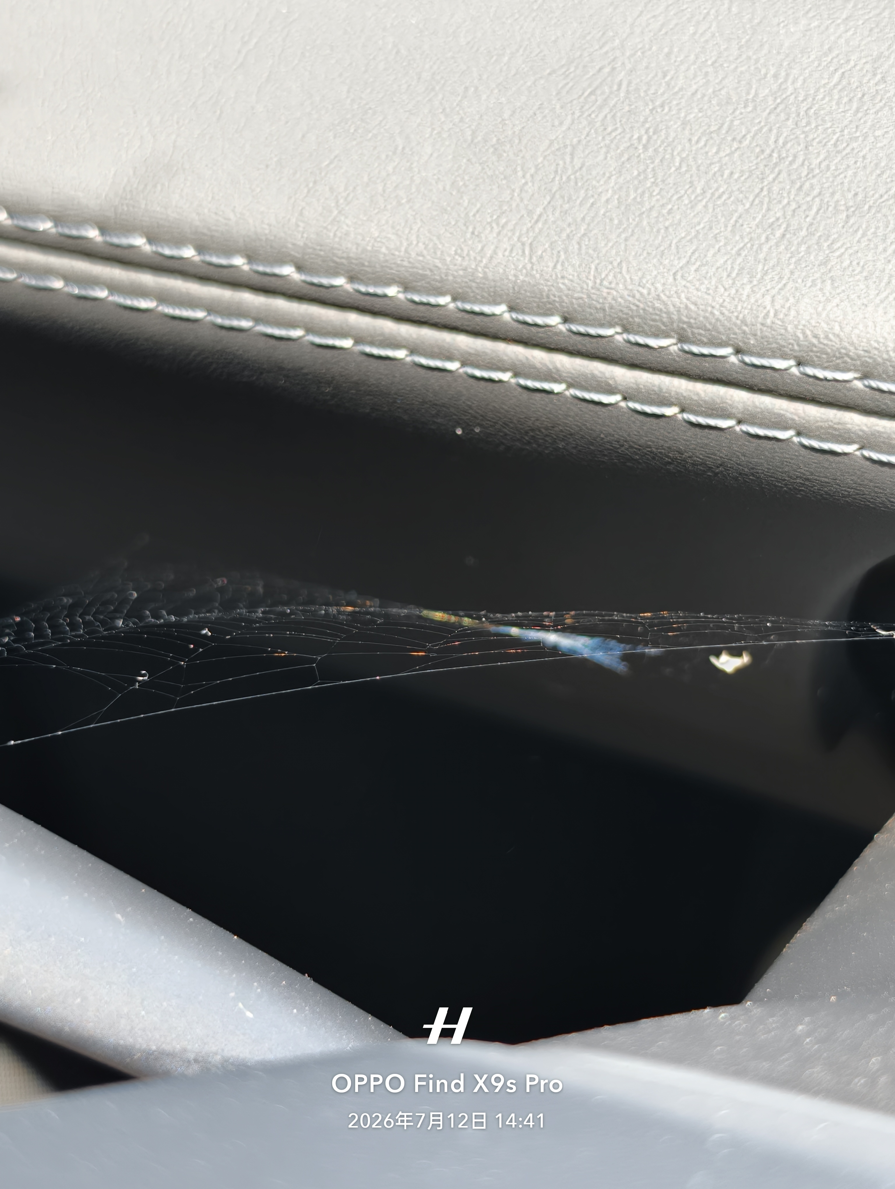 两天没开车，车里面结蜘蛛网了、是车里凉快吗？