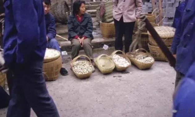 现在健康的食品还有什么？

今天去菜店买菜，看见店员正在捞泡在水里的菜准备上架，