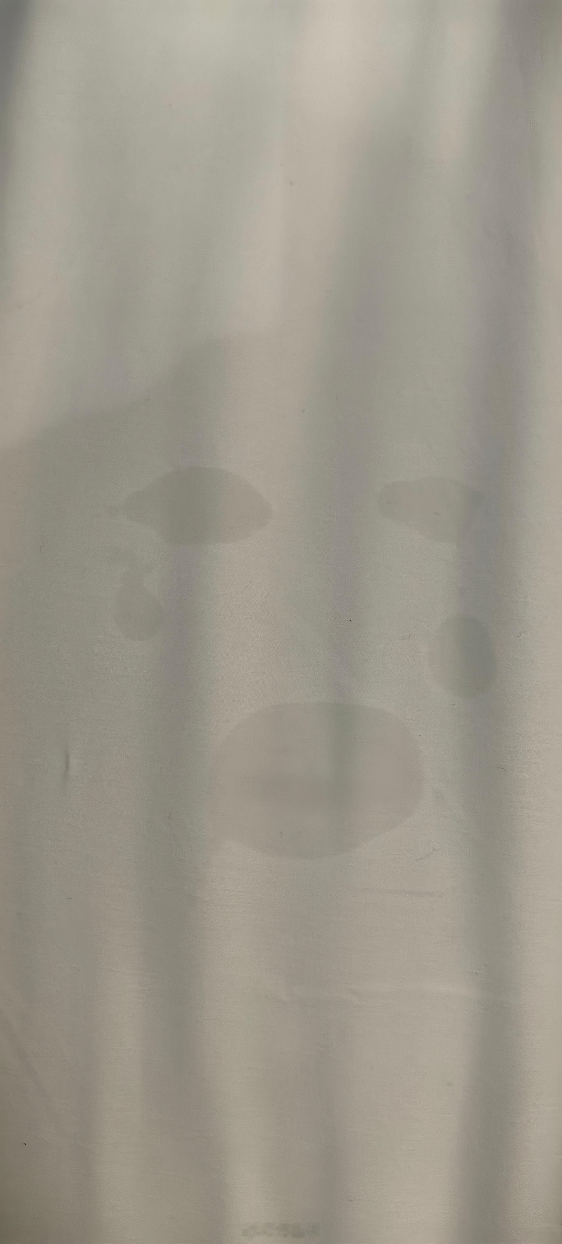 猜猜这是啥？