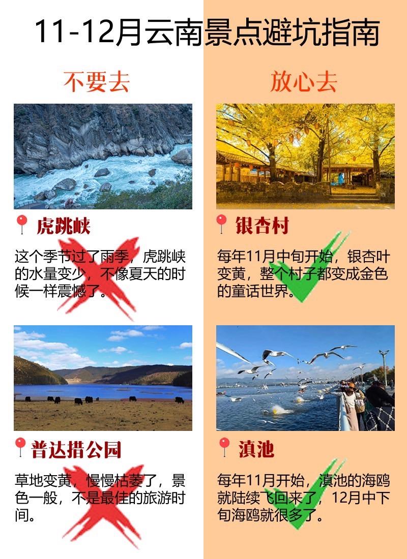 11月至12月来云南这些景点不要去。云南旅游景点避坑指南