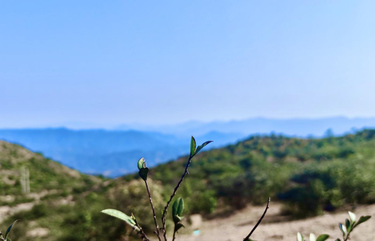 五华县鸿图嶂的美景，这里真是个清新脱俗的良心景区，车可以开上山，不用门票，不收停