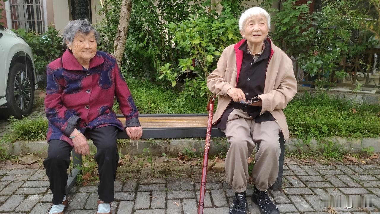 《长期吃保健品与不吃保健品对比效果》
两位高龄老人坐在长椅上闲聊，一位1933年