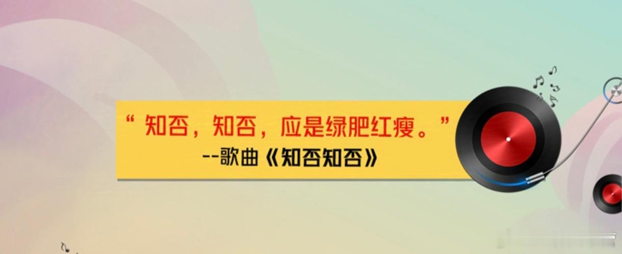 新华社文艺十年特别策划，电视剧《知否》主题曲《知否知否》出现在十年回顾里。在过往