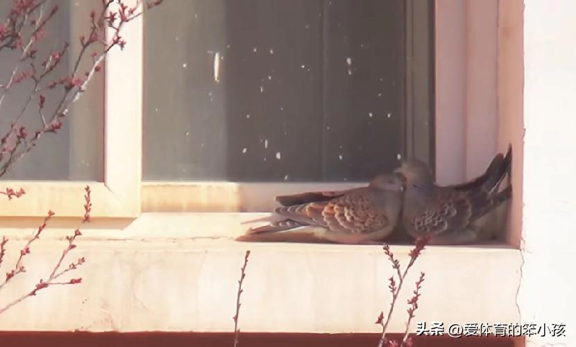 分享我这周有趣的事：女儿工作的学校，每天都会在公众号上发布一些学校的趣闻乐事，或