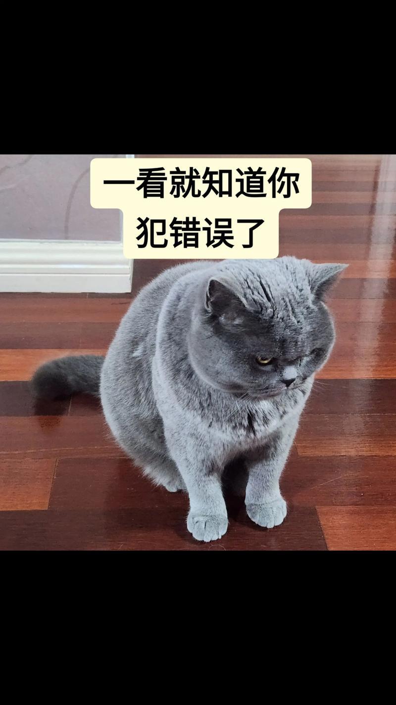 昨天犯错误了，想想心里都害怕。

昨天，我突然想吃粽子，就在锅里加水放了三个粽子