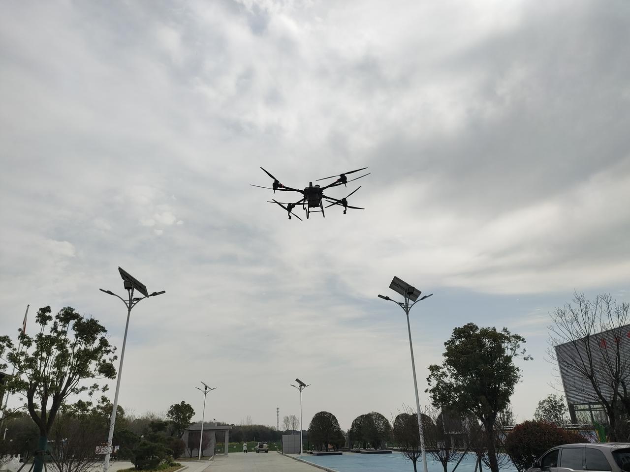 今年不知为什么梦特别多，睡也睡不好， 醒了就跟没睡一样，头晕脑胀的…发现没有，最