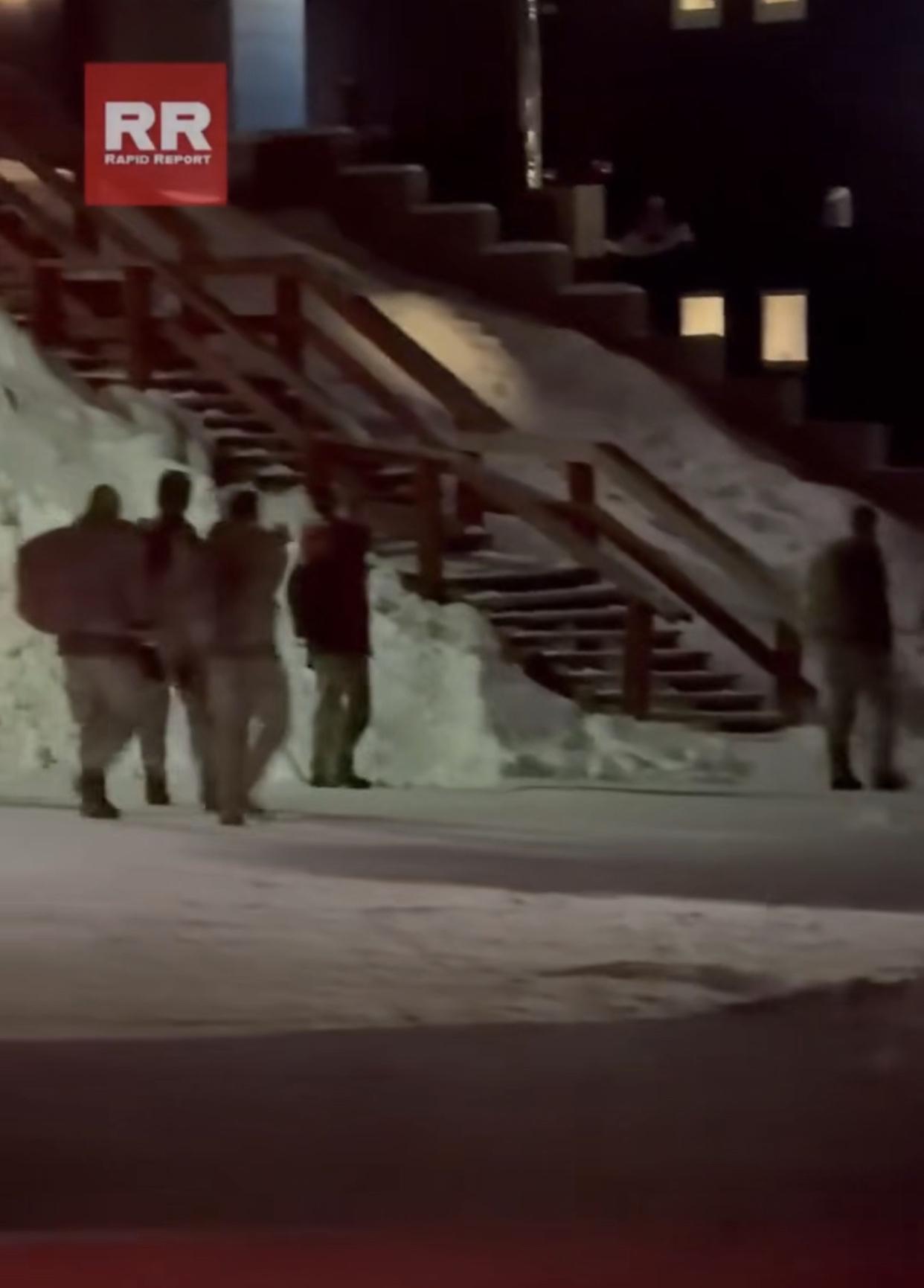 到目前为止，欧洲各国派往格陵兰岛的士兵:

法国——15人
德国——13人 
挪