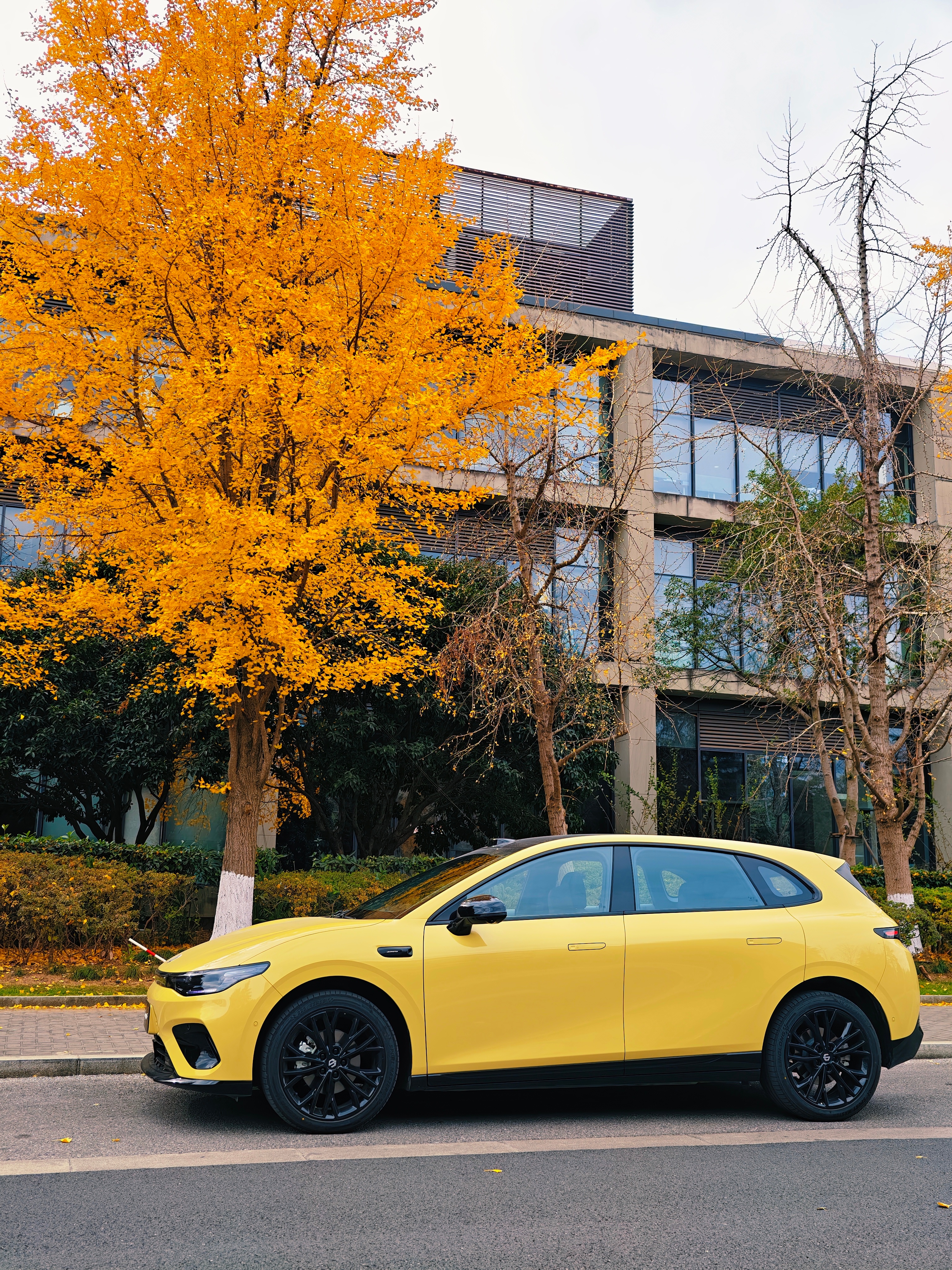 这个秋天，好想拥有一台零跑lafa5（电掣黄）零跑lafa5零跑汽车新能源汽车﻿