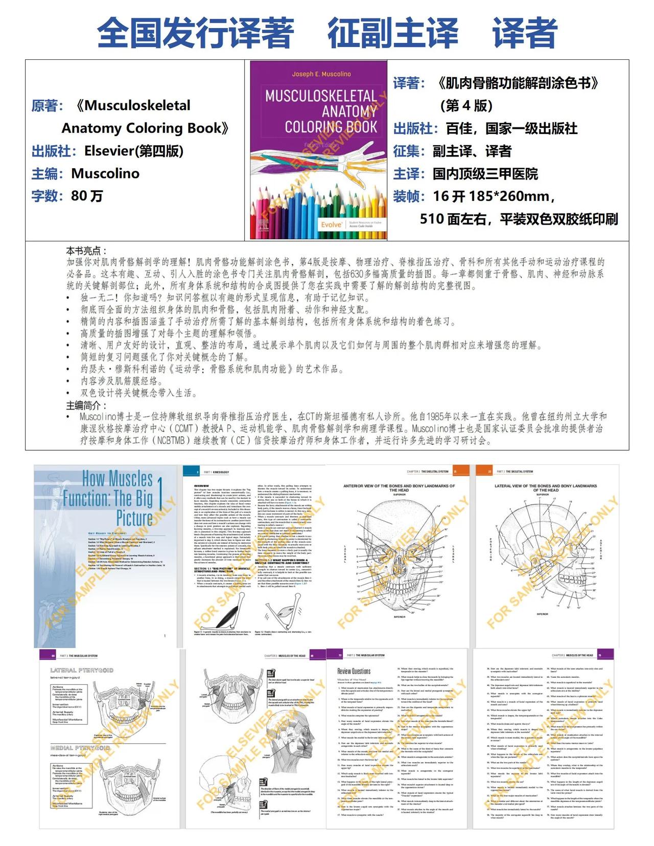 全国发行译著，主译为国内TOP3医院，
仅征集副主译，译者
🏆🏆🏆🏆🏆