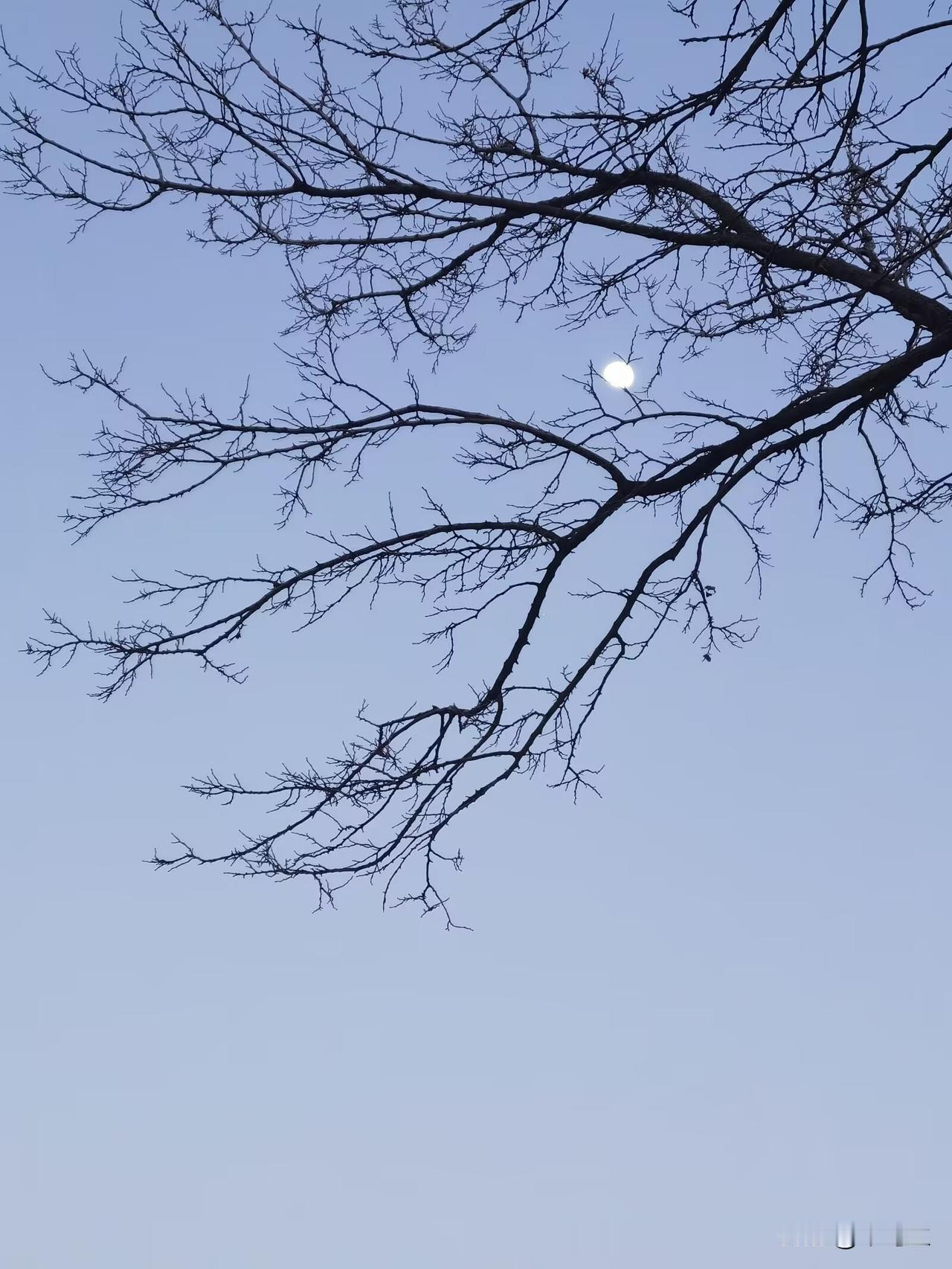 小时候，姥姥家在外县，父亲这边也没有什么亲戚，周末的时候，就无处可浪。
看别人家