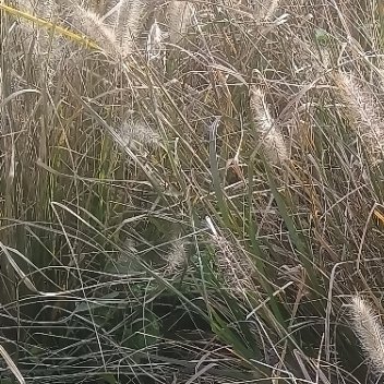 大饼受市场影响遭遇陆续抛售，美联储鹰派降息虽降息25个基点，但老鲍称12月再次降