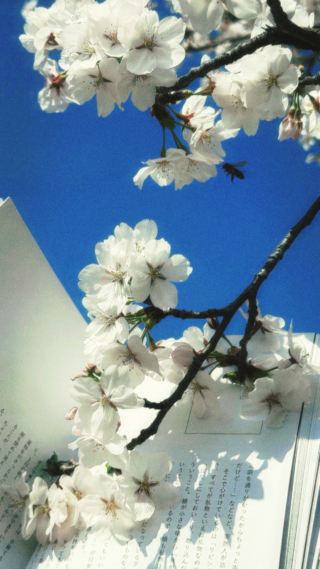 在小城的冬天来临之前 