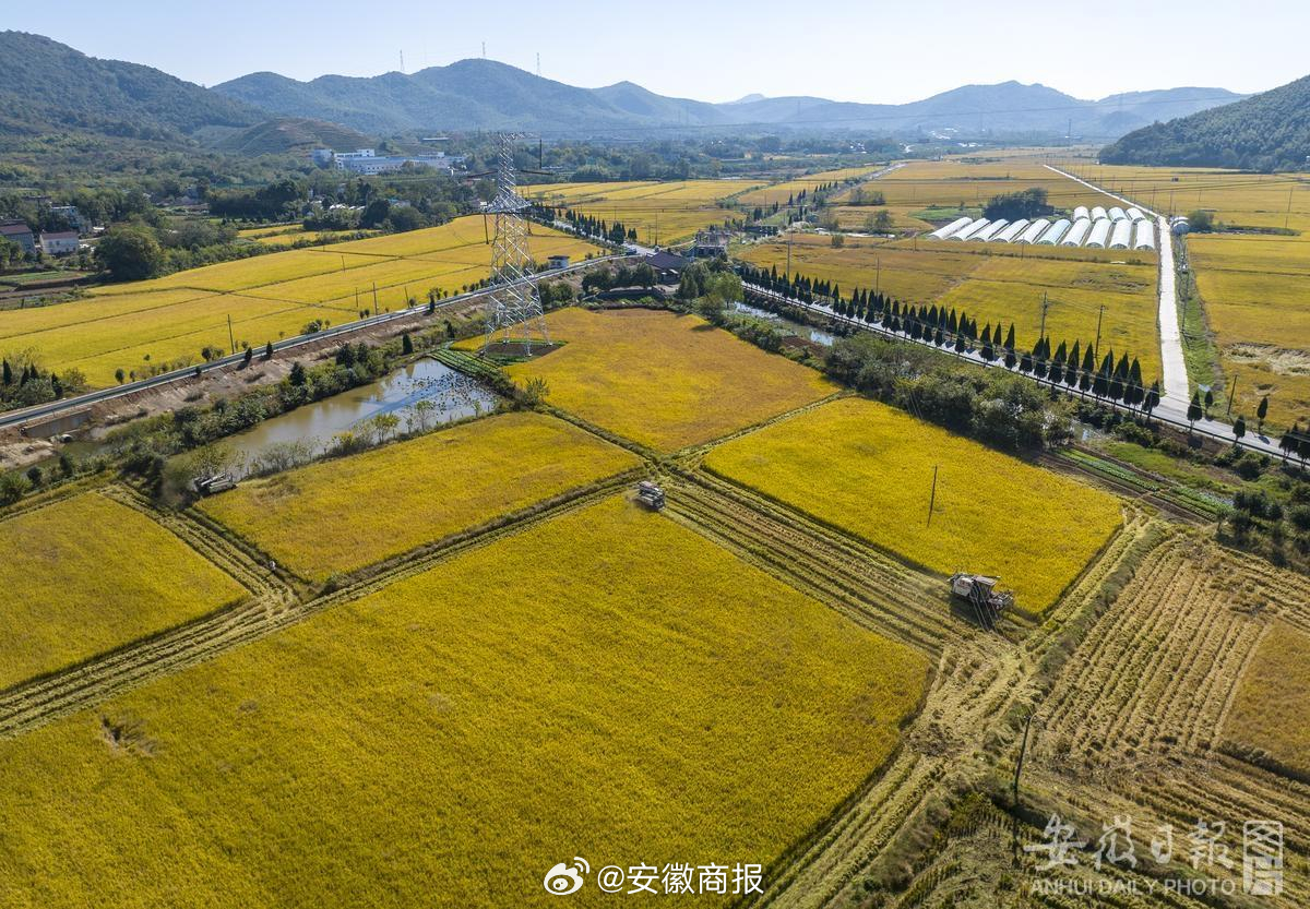 【安徽，830.16亿斤！再创新高！】12月11日，国家统计局公布了2023年粮