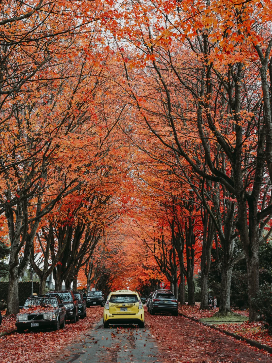 AutumnOutfit 🍁在温哥华的秋日假期