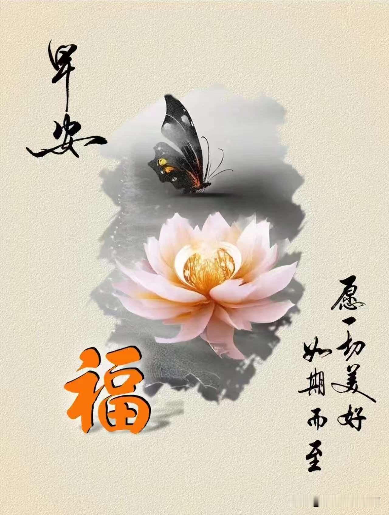 愿你平安幸福，一切美好如期而至。
