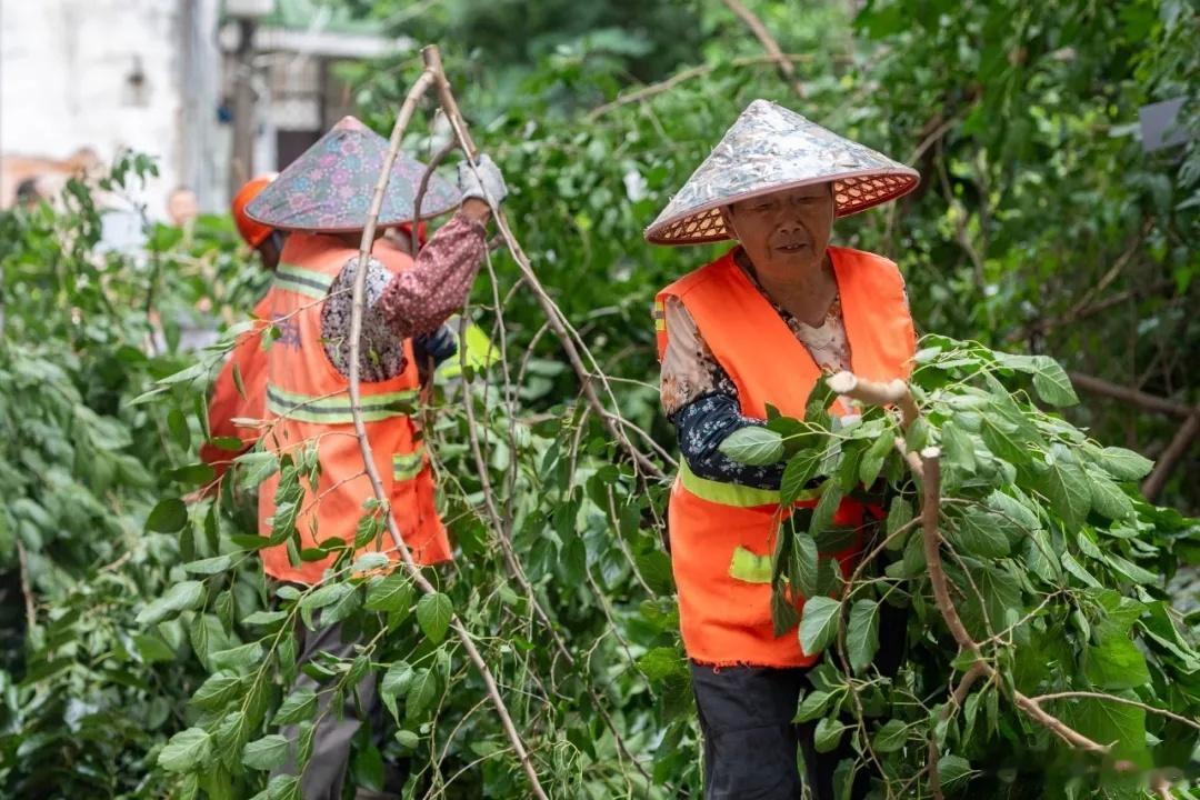 浙江全力打赢台风巴威防御主动仗迎战台风巴威浙江全面行动县园林管理中心联合国网长兴