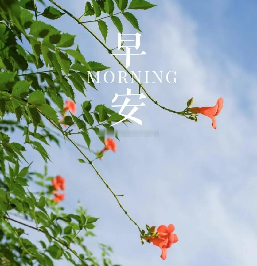 周一 早安！全新交易周启程，调整好心态整装出发。踏准行情节奏，严格执行计划，稳字