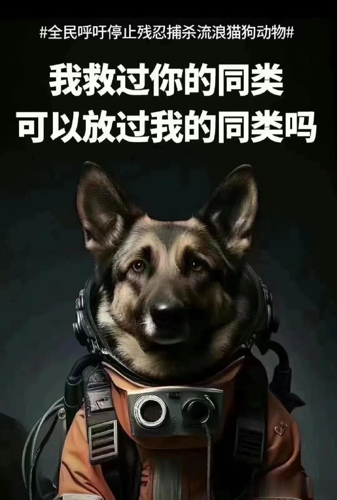 佛教《三世因果经》有提到三世轮回才为人，🤔《太平广记》《阅微草堂笔记》皆有转世