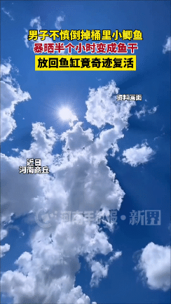 “科学都解释不清了！”河南商丘，一男子在给鱼缸换水时，忘了水桶里还有一条小鲫鱼，