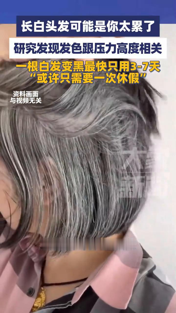 长白发可能是你太累了，研究发现发色跟压力高度相关。
大象新闻主播盛梦珂。
长白头